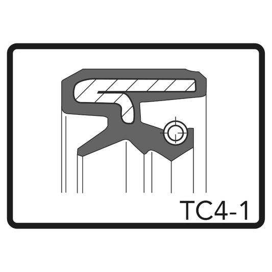 ARI.114 - Pair Of Fork Oil Seals 36 x 48 x 11 TC4-1