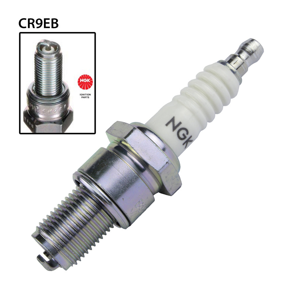 NGK CR9EB Spark Plug (6955 Brisk AR10C)