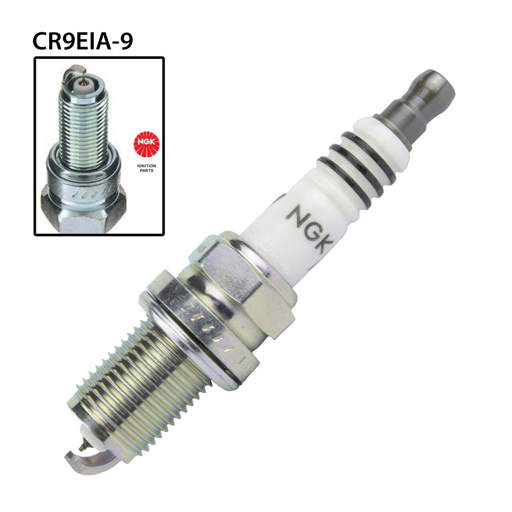 NGK CR9EIA-9 Spark Plug (6289)