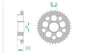 Sprocket Rear 2027-42 AFAM 50605 - Special Order