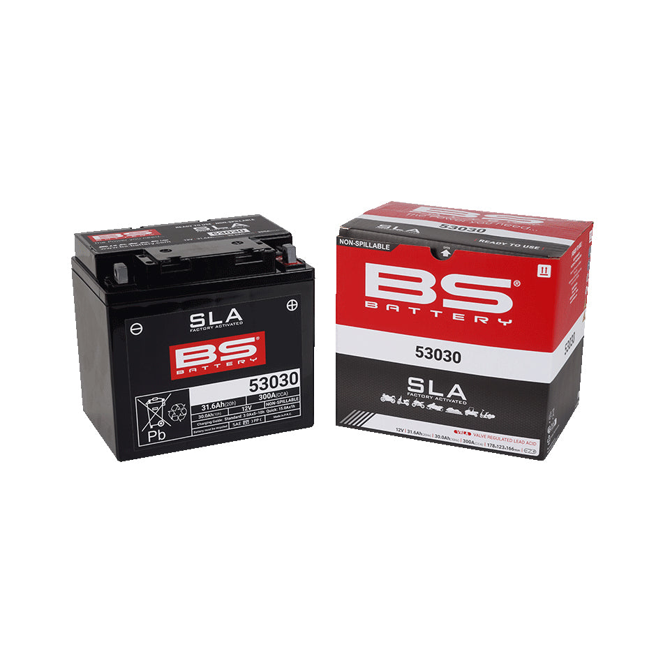 BS 53030 SLA (WC) Factory Activated Battery