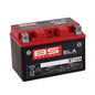 BS BT12A SLA (WC) Factory Activated Battery