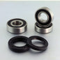 BWX Rr Wheel Bearing-Seal Kit Kawasaki/Suzuki KLX400 03-04, DR-Z400 00-21 WBK50013 (25-1117)