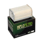 Hiflofiltro Air Filter HFA2904
