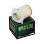 Hiflofiltro Air Filter HFA3801