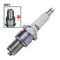 NGK B8ES Spark Plug (2411)