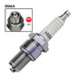 NGK BM6A Spark Plug (5921)