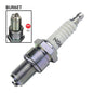 NGK BUR6ET Spark Plug (3172) car and commercial