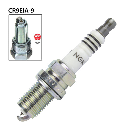 NGK CR9EIA-9 Spark Plug (6289)