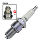 NGK D6HA Spark Plug (6512)