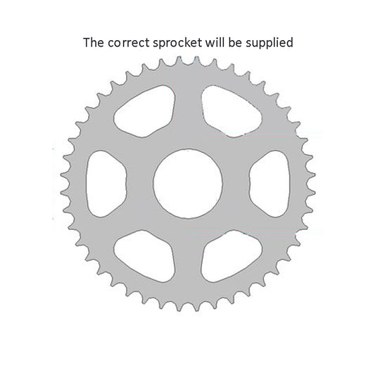 Sprocket Rear RK-B4596-48 JTR2453 Afam 10501 - Special Order